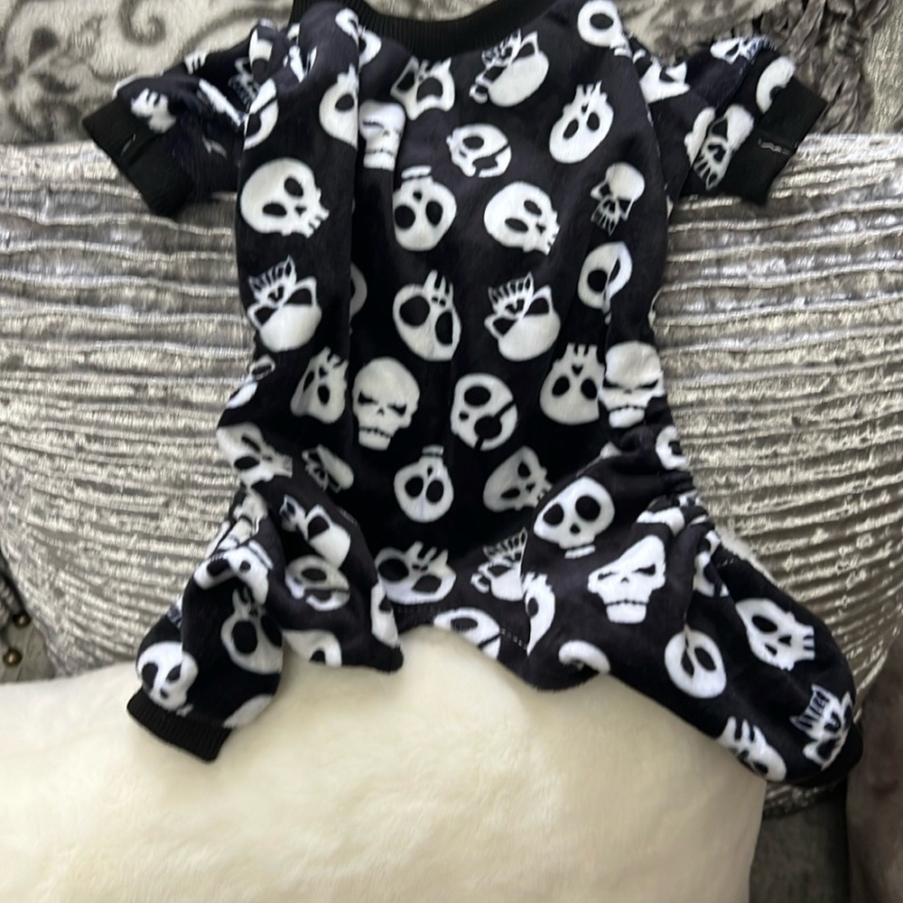 Skull Print Black and White small dogs